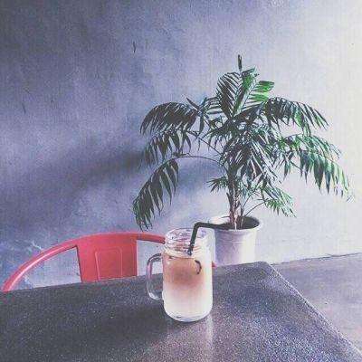 萌神战姬满vip版下载