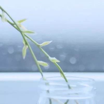 海王捕鱼多账号登录版本下载